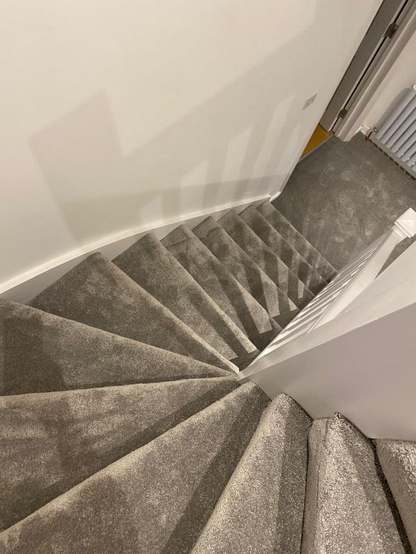 Recent carpet installation of velvet dreams charleston in N14