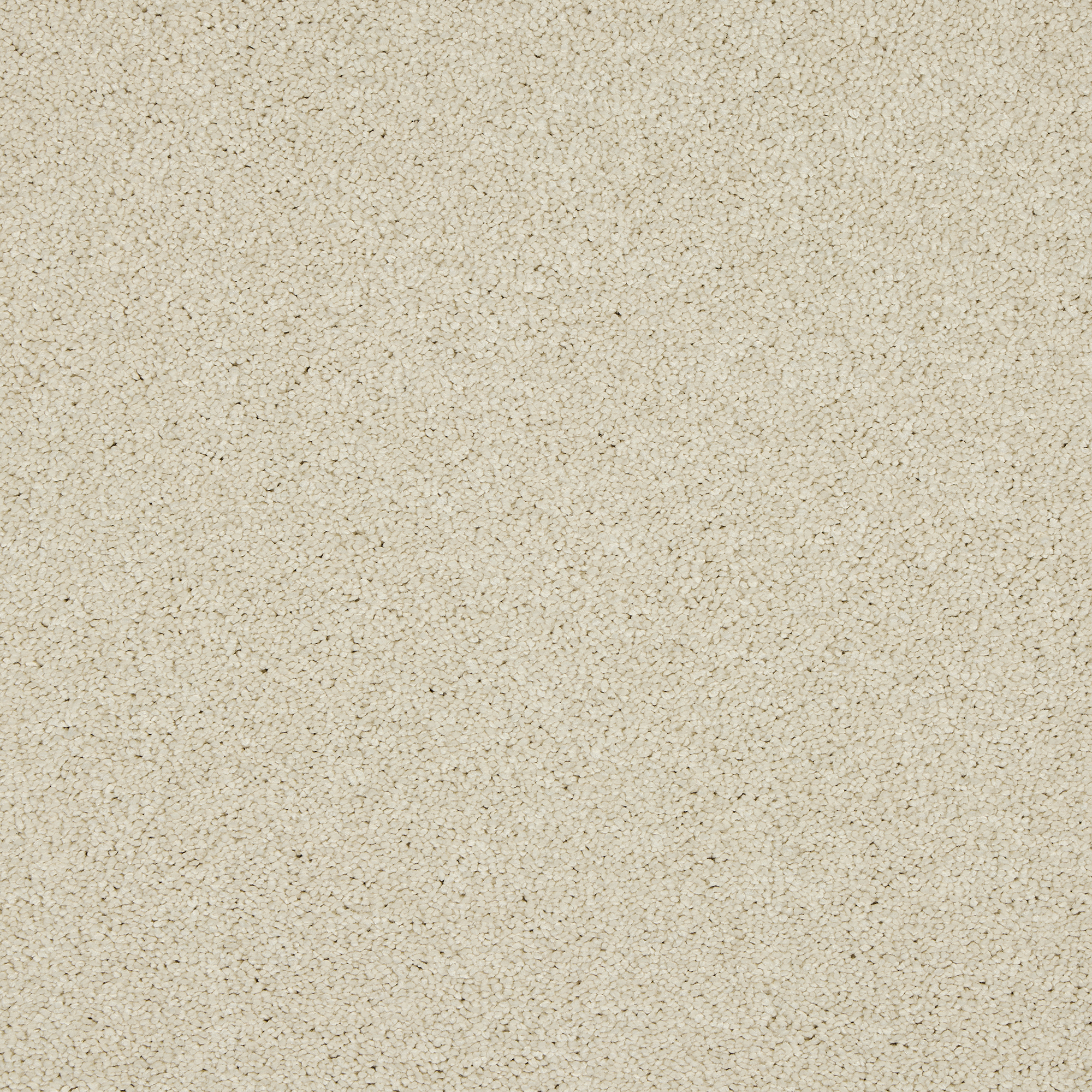 Velvet Dreams carpet in Pearl – in stock at Carpet World London, Chingford