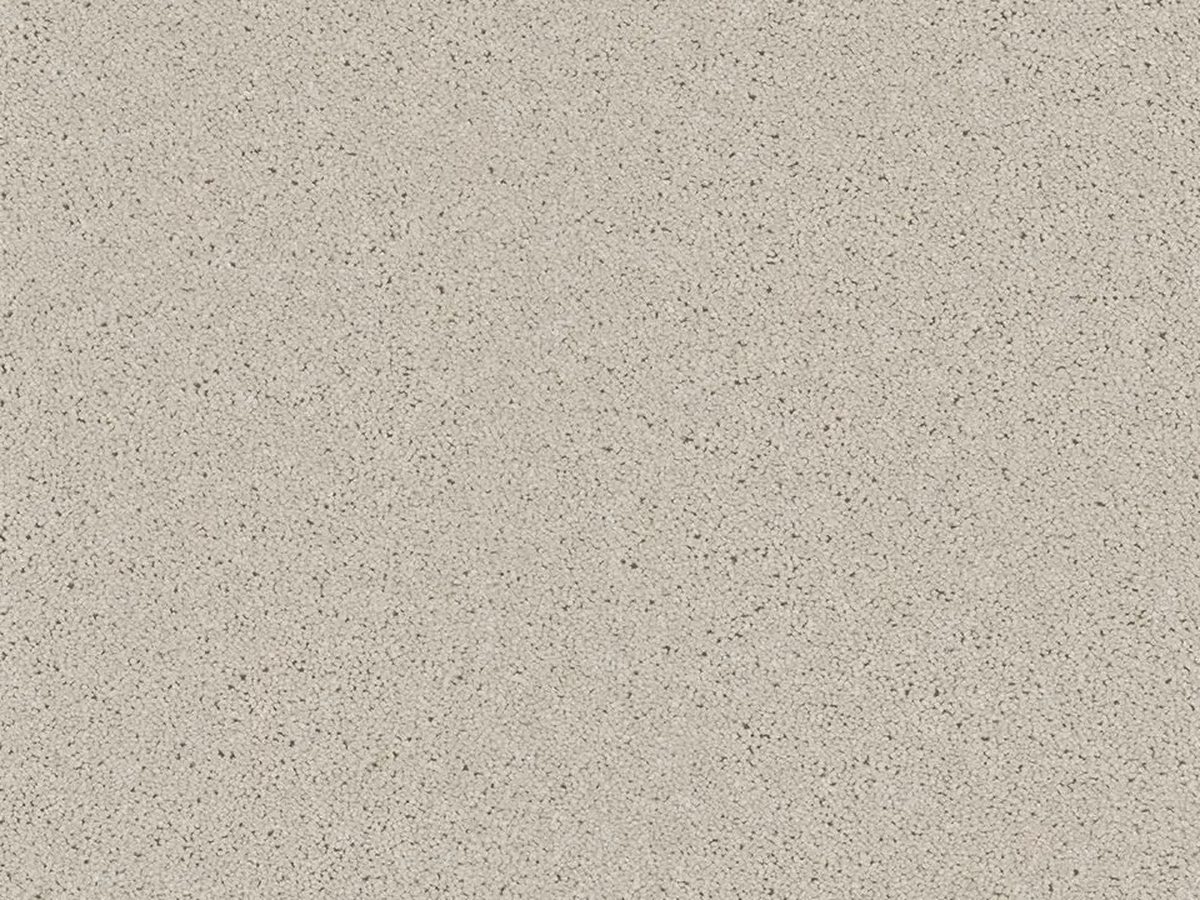 Bliss French Grey colour swatch – in stock at Carpet World London Chingford