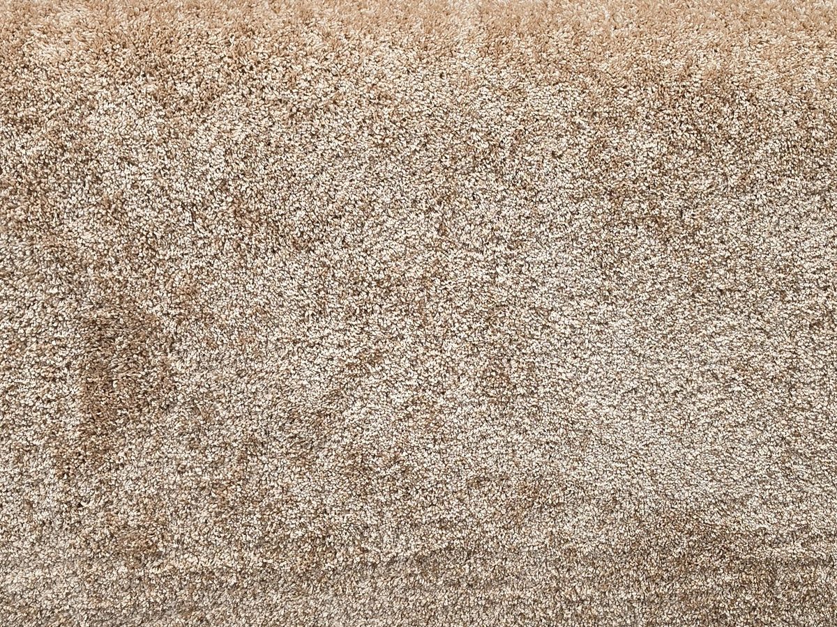 Dorado carpet in stock at Carpet World London Chingford