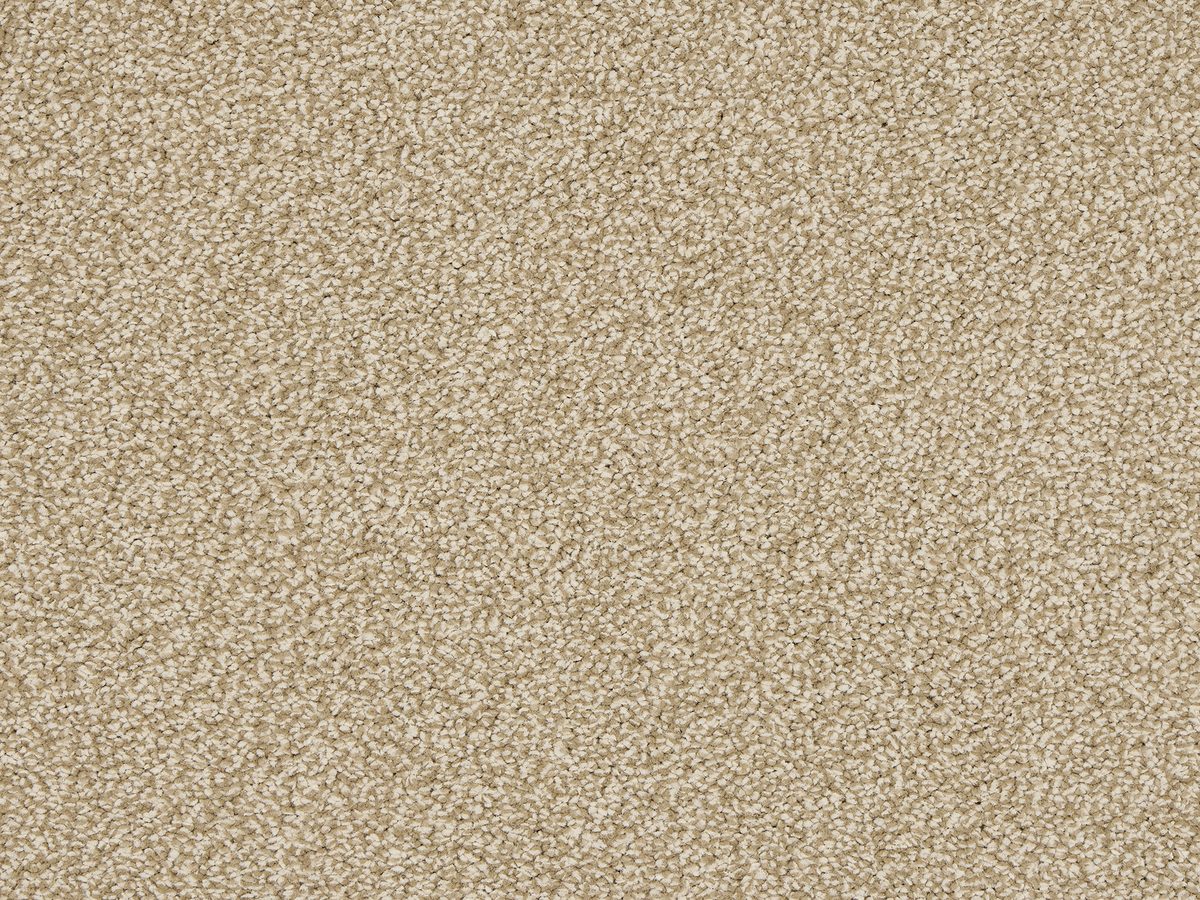 Euphoria Hazelnut colour swatch – in stock at Carpet World London Chingford