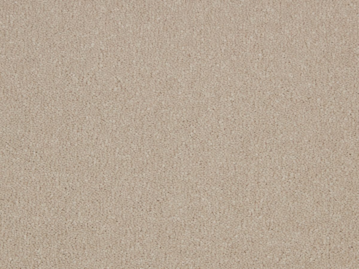 Silken Serenity Blythe Barley colour swatch – in stock at Carpet World London Chingford
