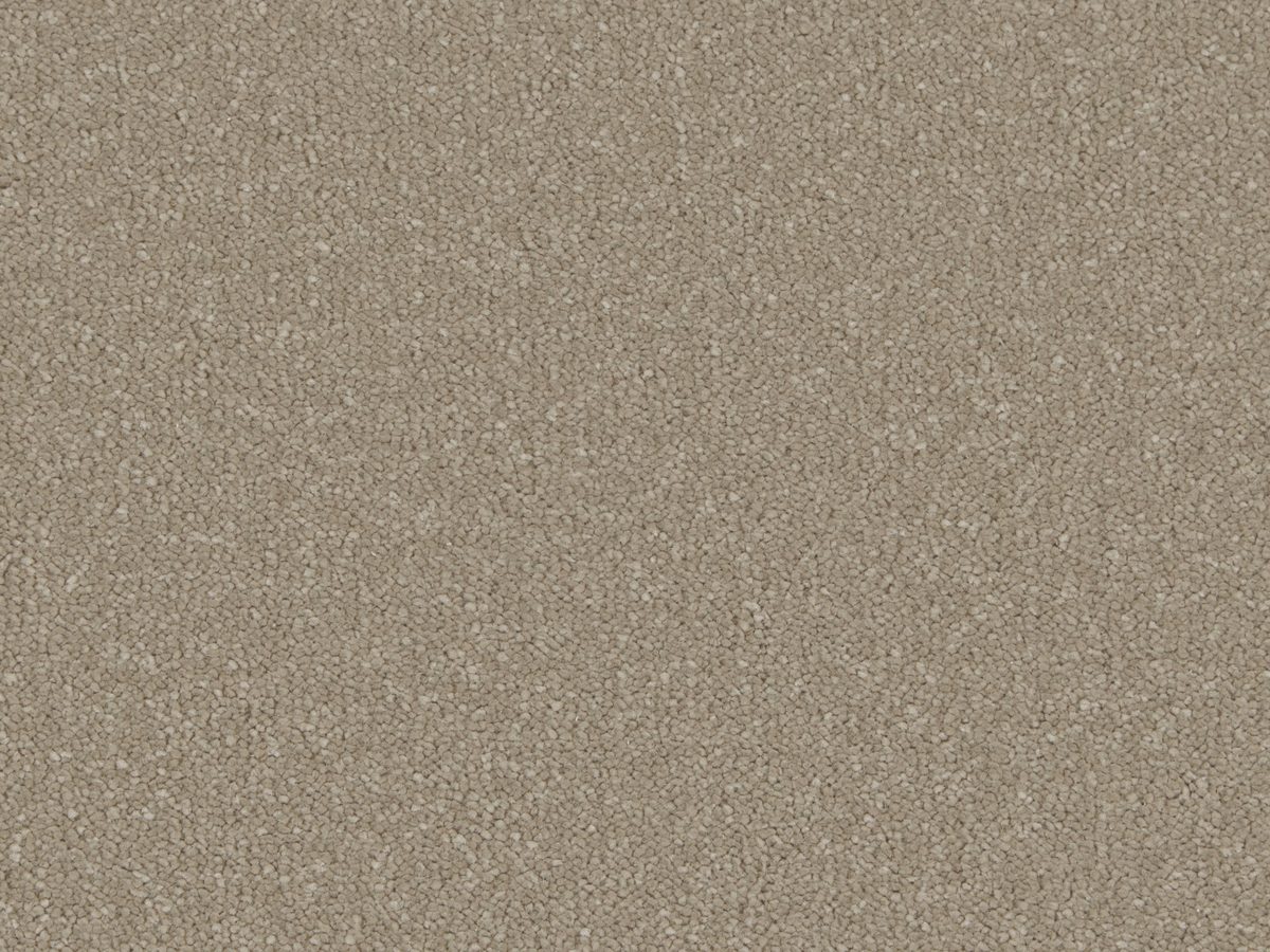 Silken Serenity Nocciola colour swatch – in stock at Carpet World London Chingford