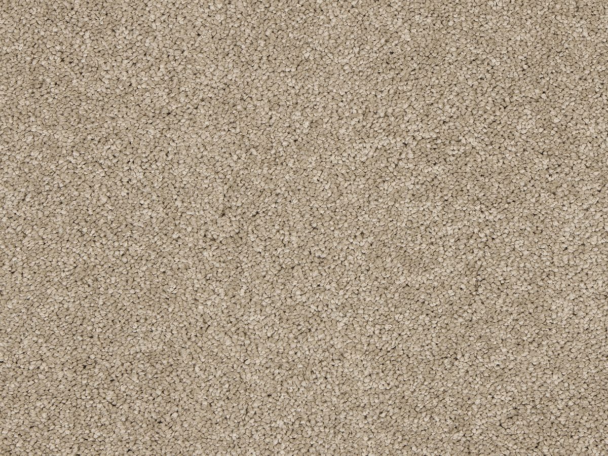 Velvet Dreams Mouseback colour swatch – in stock at Carpet World London Chingford